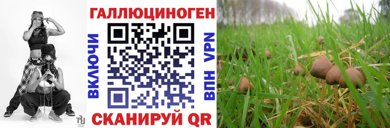 наркота  кракен сайт  Псилоцибиновые грибы мухоморы  Тихорецк 